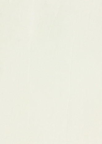 Bianco Dolomite Pure White